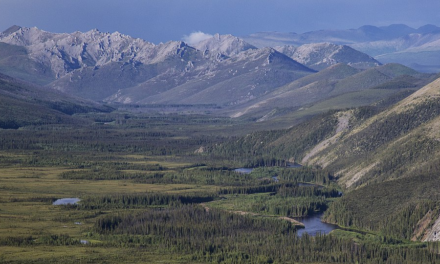 White Mountain, Alaska City Profile